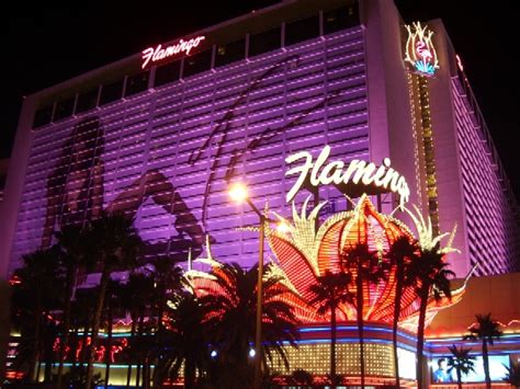 is the flamingo hotel still open
